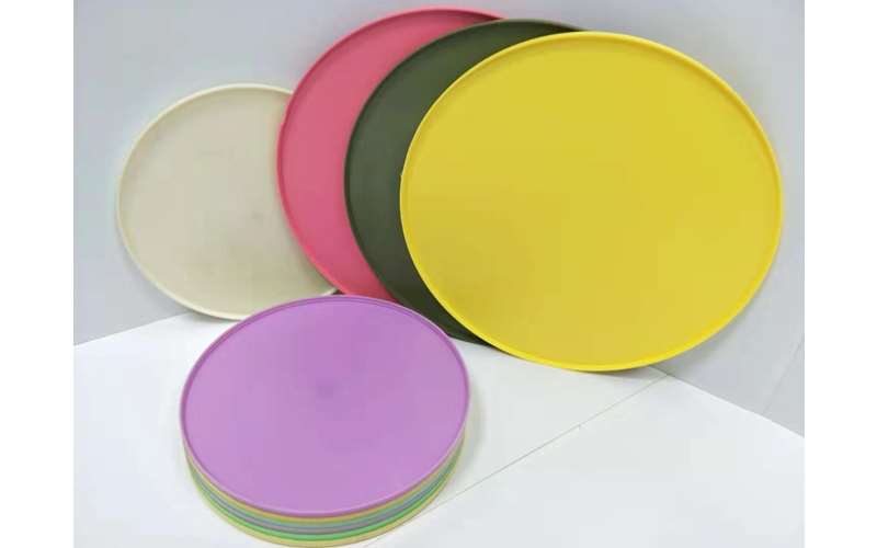 圓盤 Wafer Carrier